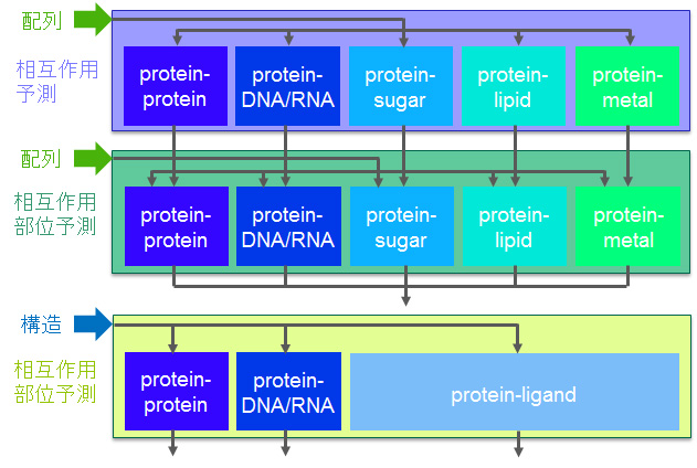 総合的なタンパク質-リガンド結合部位予測システム
