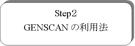 pێlp`: StepQ
GENSCAN̗p@
