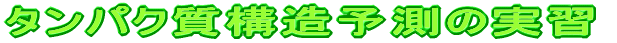 タンパク質構造予測 